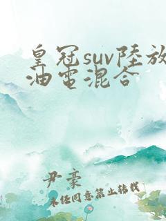 皇冠suv陆放油电混合