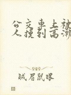 公交车上被陌生人摸到高潮