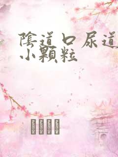 阴道口尿道口起小颗粒