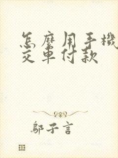 怎么用手机扫公交车付款