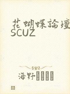 花蝴蝶论坛DISCUZ