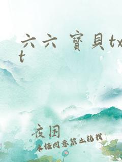 六六 宝贝txt