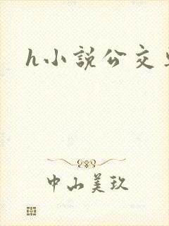 h小说公交车上