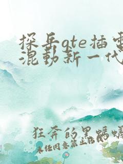 探岳gte插电混动新一代报价