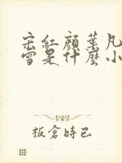 宋红颜叶凡唐若雪是什么小说