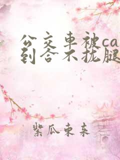 公交车被cao到合不拢腿真动漫