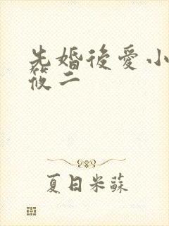 先婚后爱小说梦筱二