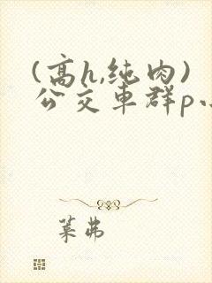 (高h,纯肉)公交车群p小说