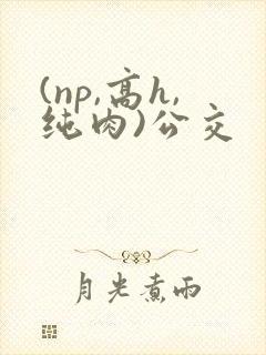 (np,高h,纯肉)公交