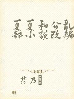 夏夏和公乱是哪部小说改编的