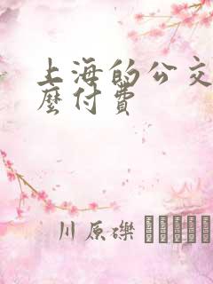 上海的公交车怎么付费