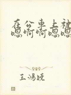 在公车上被玩嗯嗯啊啊嗯嗯