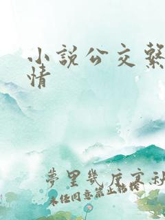 小说公交系列诗情