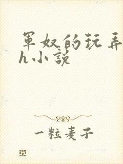 军奴的玩弄调教h小说