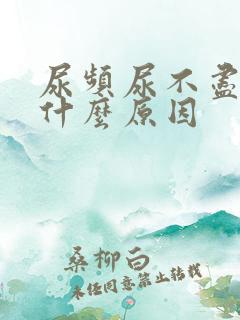 尿频尿不尽疼是什么原因