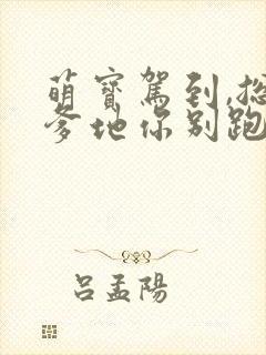 萌宝驾到,总裁爹地你别跑