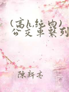 (高h,纯肉)公交车系列