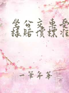 坐公交车受伤怎样赔偿标准