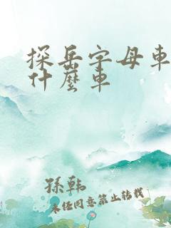 探岳字母车标是什么车