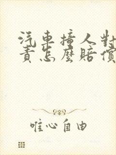 汽车撞人对方全责怎么赔偿