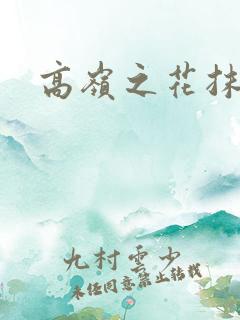 高岭之花抹布