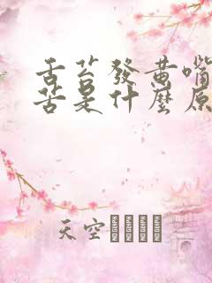 舌苔发黄嘴里发苦是什么原因