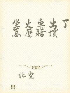坐火车出了事故怎么赔偿