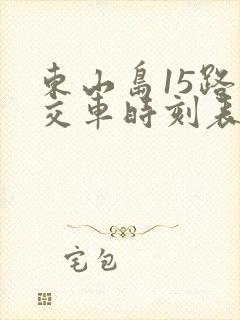 东山岛15路公交车时刻表