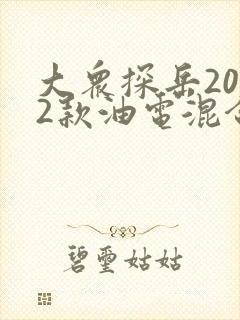 大众探岳2022款油电混合