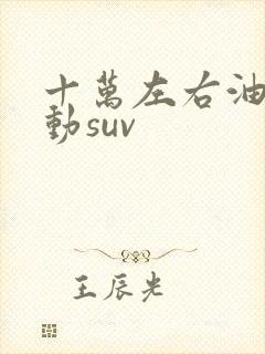 十万左右油电混动suv