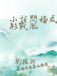 小说闪婚成宠海彤战胤