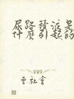 尿路积液是因为什么引起的