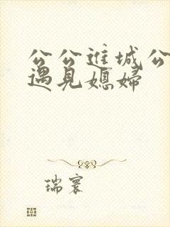 公公进城公交车遇见媳妇