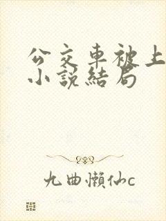 公交车被上高潮小说结局