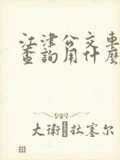 江津公交车实时查询用什么软件