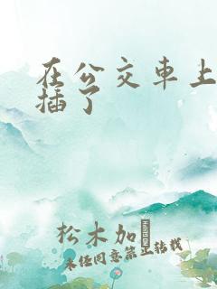 在公交车上被人插了