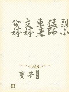 公交车猛烈进出婷婷老师小说