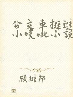 公交车挺进她的小噗呲小说