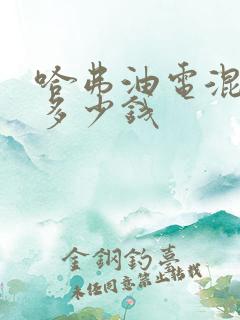 哈弗油电混动车多少钱
