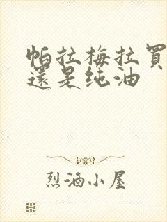 帕拉梅拉买混动还是纯油