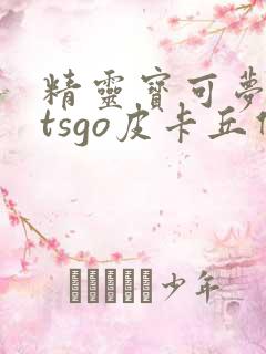 精灵宝可梦letsgo皮卡丘伊布