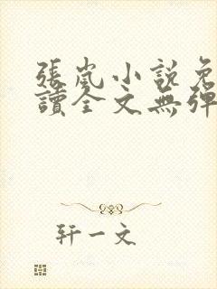 张岚小说免费阅读全文无弹窗