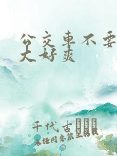 公交车不要停好大好爽