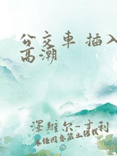 公交车 插入 高潮