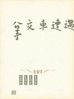 公交车遭遇咸猪手