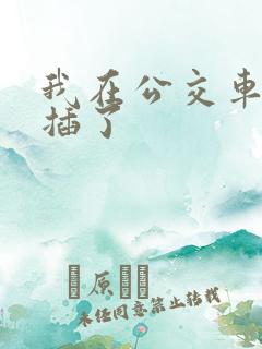我在公交车上被插了