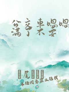 公交车嗯嗯啊啊满了不要