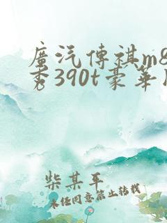 广汽传祺m8领秀390t豪华版