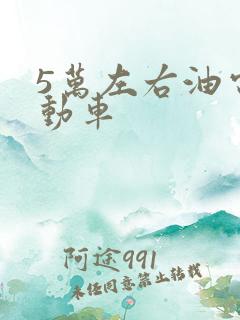 5万左右油电混动车