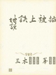 地铁上被插入小说